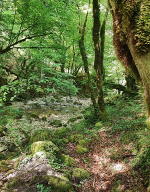 Fraite-grot en Cimante-watervallen - Thoiria - 28