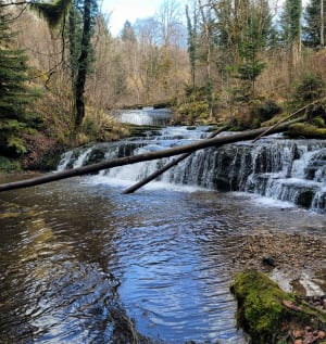 Se revigorer aux cascades du Hérisson - Bonlieu - 13