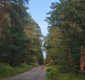 En forêt de Mesnil vers le Rocher des Fées - Christophe - 2