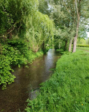 Randonnée àRolleville - Rolleville - 2