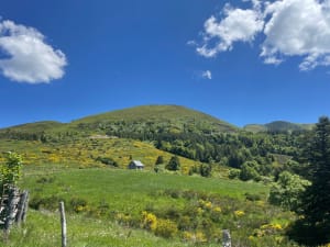 Cascades du Mont Dore - Mont-Dore - 8