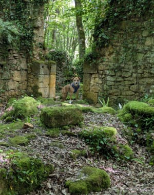 Balade jusqu'au Château de Commarque - Les Eyzies - 12