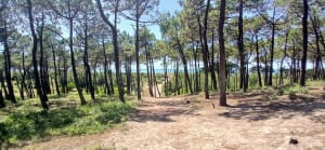 De la Bosse à la pointe de la Loire - BRIGITTE - 4