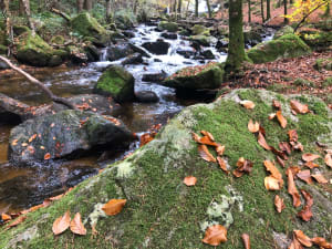 Pérégrinations bourbonnaises à la Cascade de la Pisserote - Arfeuilles - 2