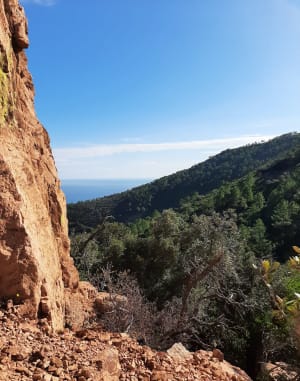 Pic de l'Ours depuis le col des Lentisques et découverte de l'Estérel - Saint-Raphaël - 11