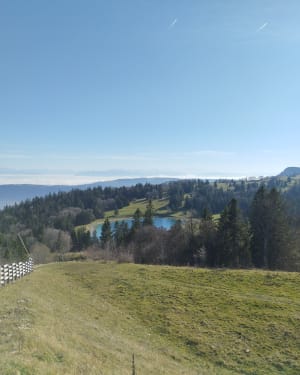 Le Morond et le Mont d'Or - Marie - 28