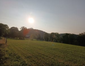 Balade au Puy de la Charité depuis Royat - Royat - 6