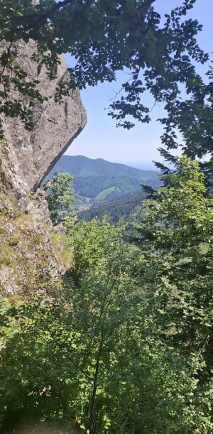 Col des Charbonniers et beautés lacustres des Vosges - Jonathan - 2