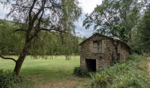 Les dentelles minérales du Bonnan - Milhars - 7