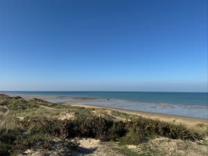 Balade sur la côte à Gouville-sur-Mer - Gouville-sur-Mer - 8