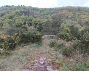 Jusqu'aux confins du Val sans Retour (Brocéliande) - Tréhorenteuc - 41