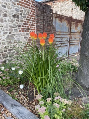Roucourt et la grotte d'Erchin - Erchin - 6