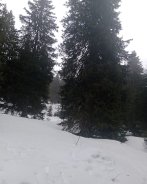 Circuit du Recoin à Roche beranger - Chamrousse - 14