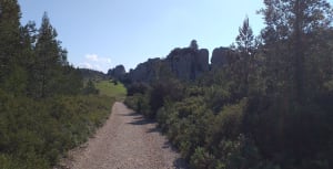 Het Alpillesmassief en zijn eeuwenoude olijfbomen - Mouriès - 17