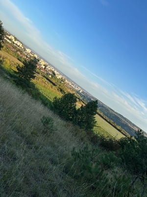 Emetteur de Talant et vue sur la Vallée de Louche - Talant - 7