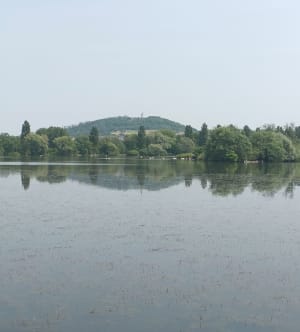 Le lac de Vaivre - Vaivre-et-Montoille - 7