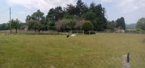 Cuverville - Villainville Loop - Cuverville - 5