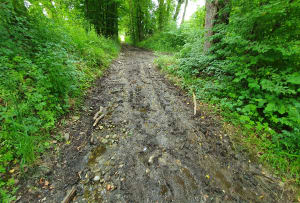 Balade autour de Contamine-sur-Arve - Contamine-sur-Arve - 12
