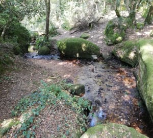 Circuit au Fil de l'eau à Moustoir-Ac - Moustoir-Ac - 2