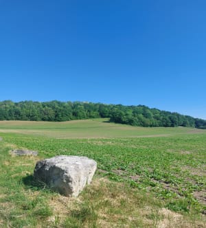 Balade sur les hauteurs de Jonquières - Jaux - 4