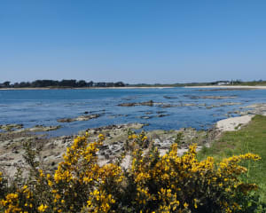 Locmariaquer, entre le golf et l'océan, par la pointe Kerpenhir - Locmariaquer - 35