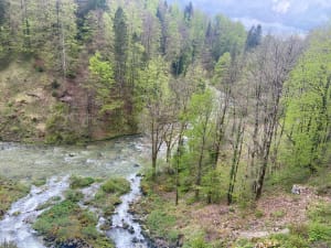 Etre saisi par les gorges de la Saine et de la Langouette - Les Planches-en-Montagne - 21