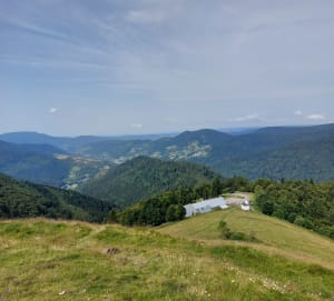 Grimper au Drumont depuis le col du Page - Dominique - 4