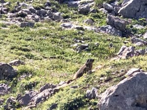 Agathe, Sophie et pas de L'Oeille - Villard-de-Lans - 10