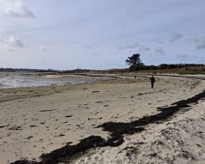 Lilia et son phare de l’île vierge - Plouguerneau - 14