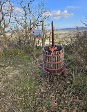 Saint Desirat - Champagne - 6