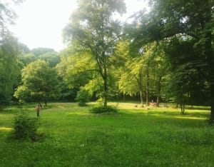 Las Wolski w Krakowie: Kontakt z naturą w mieście - Kraków - 4