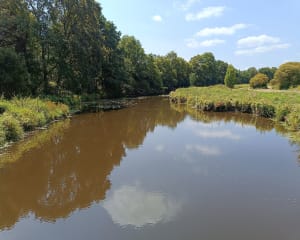 Tour du Lac au Duc, Ploërmel - Ploërmel - 7