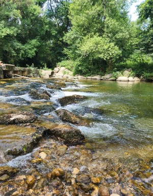 Balade entre sous-bois, champs de lavandes et vignes à Potelières - Potelières - 11