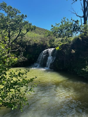 De Uzkaingo Erreka-waterval van Ascain - Ascain - 30