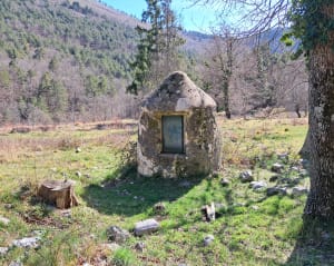 Saint-Vallier-de-Thiey et zénitude en forêt de Nans - Saint-Vallier-de-Thiey - 12