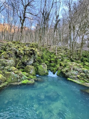 Wandel naar de Tufs-waterval en de kleine Cuisance-bron - Les Planches-prés-Arbois - 46