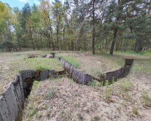 Las przy Rembertowie - Warszawa - 3