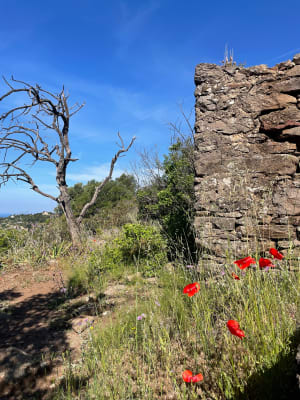 Oppidum Châteauvallon Ollioules par le télégraphe - Ollioules - 7