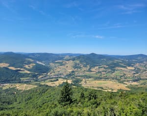 Balade dans la forêt autour de la croix de Rochefort - Deux-Grosnes - 5