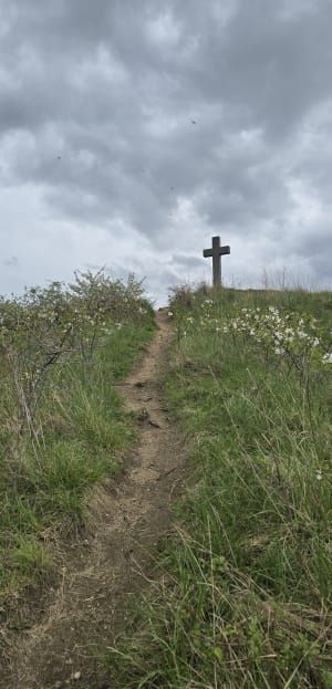 Tour de Montrognon via la Croix de Chomontel - Ceyrat - 6