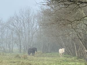 Libourne, entre La Dordogne et les vignes - Veronique - 3