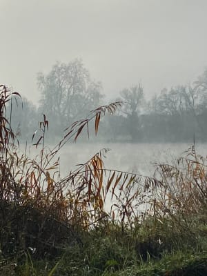 Libourne, entre La Dordogne et les vignes - Veronique - 4