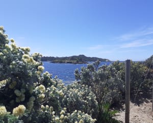 Loop langs het strand van Badine, Cap de l'Esterel en Pointe de la Vignette - Hyères - 55