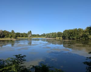 Boucle des étangs de Pérignat-sur-Allier. - La Roche-Noire - 6