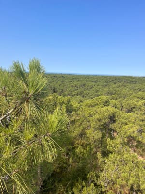 Le Pey de la Blet et Pays de Monts - La Barre-de-Monts - 4