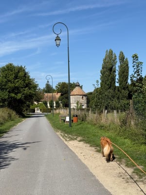 De Cernay à Senlisse par les bois et précieux patrimoine - Brice - 4