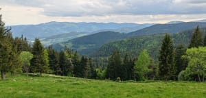 Wandelen langs de 4 meren en natuurwonderen van de Vogezen - Lac Blanc, Orbey - 8