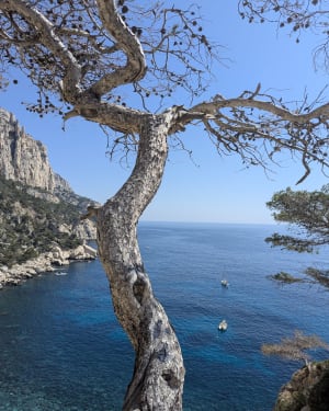 In het hart van de calanques: van Sugiton tot Morgiou - Marseille - 15