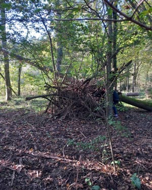 Au bord du ruisseau des échets , en sous bois - Fleurieu-sur-Saône - 18