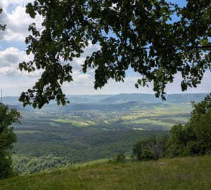 Velars-sur-Ouche et douce virée patrimoniale en forêt - Caroline - 5